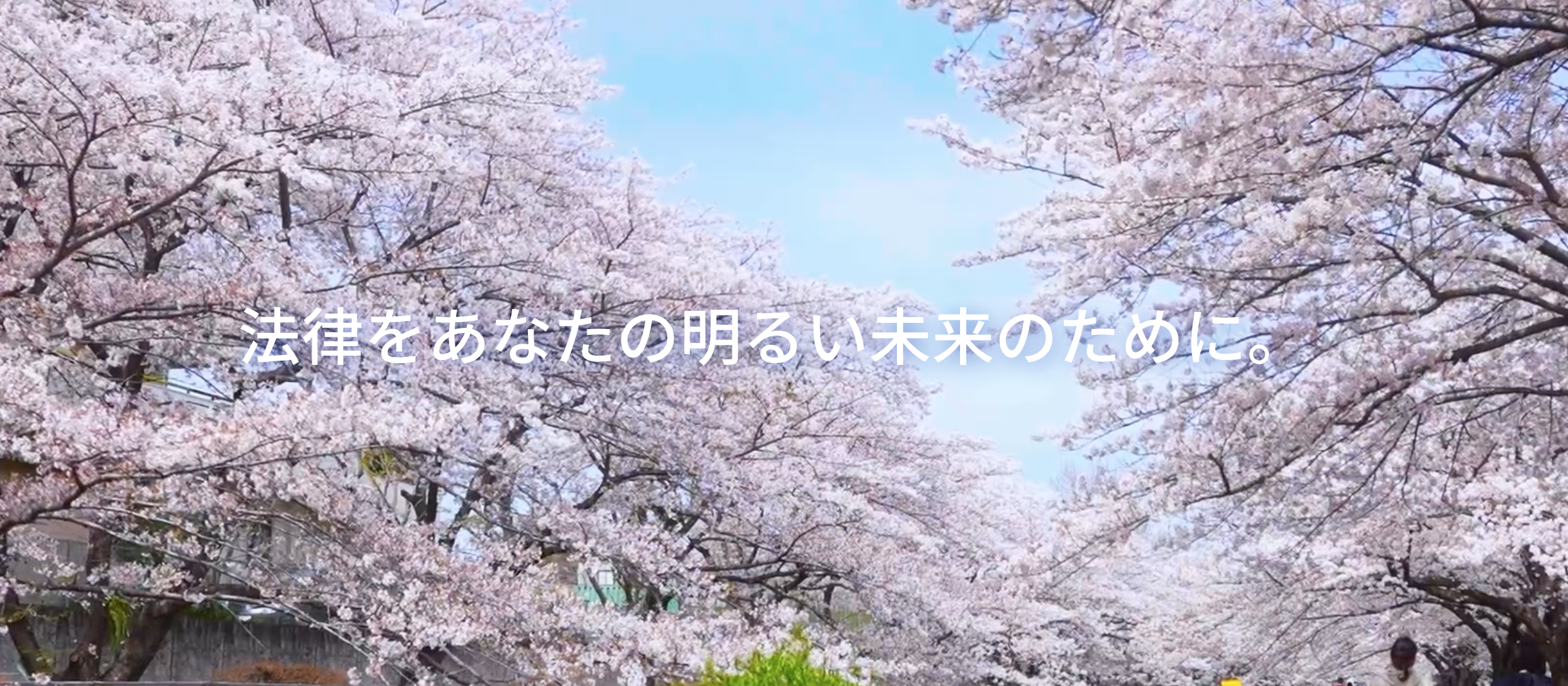 はるか法律事務所